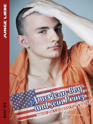 cover image of American Boy und sein Prinz 5